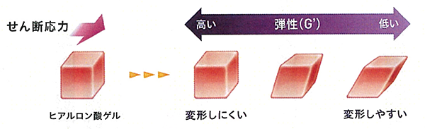 弾性の異なる物質にせん断応力を加えた形状変化