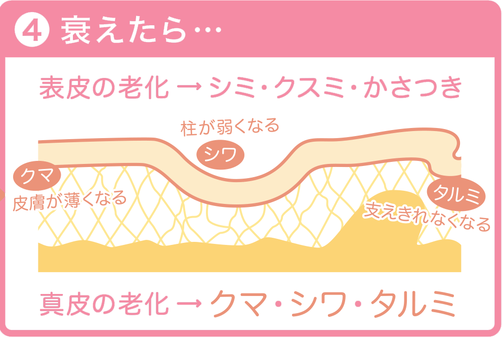 衰えたら